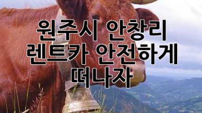 원주시 안창리 렌트카, 안전하게 떠나자!