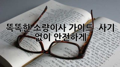 똑똑한 소량이사 가이드 🚚💨 사기 없이 안전하게!