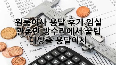 원룸이사 용달 후기🏡 임실 관촌면 방수리에서 꿀팁 대방출! #용달이사